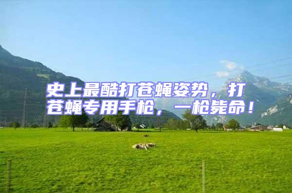 史上最酷打蒼蠅姿勢(shì),打蒼蠅專用手槍,一槍斃命!