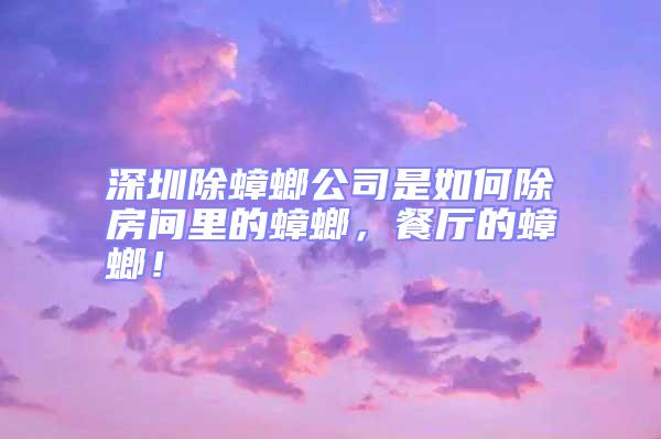 深圳除蟑螂公司是如何除房間里的蟑螂,餐廳的蟑螂!