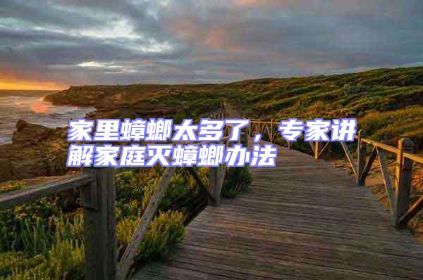 家里蟑螂太多了，專家講解家庭滅蟑螂辦法