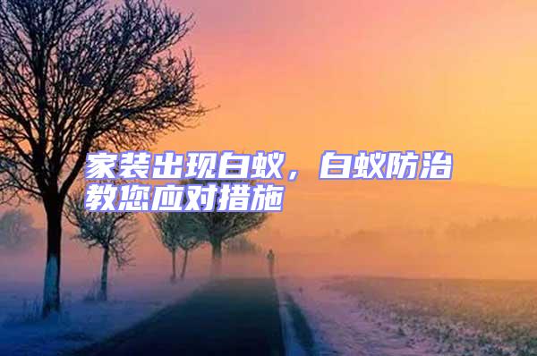 家裝出現(xiàn)白蟻,白蟻防治教您應(yīng)對(duì)措施