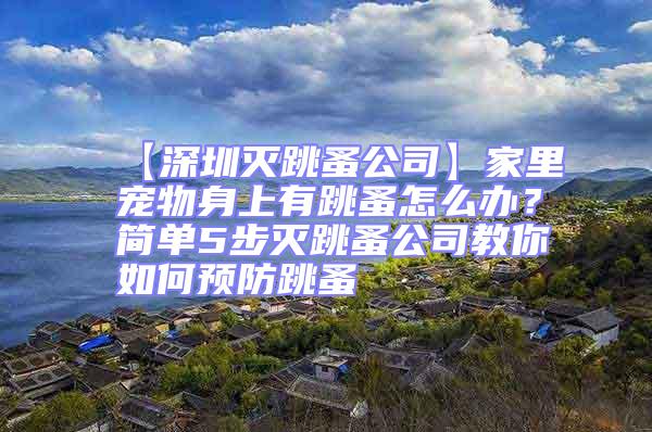 【深圳滅跳蚤公司】家里寵物身上有跳蚤怎么辦？簡單5步滅跳蚤公司教你如何預防跳蚤