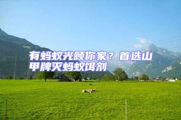 有螞蟻光顧你家？首選山甲牌滅螞蟻餌劑