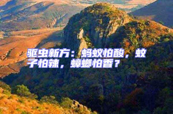 驅(qū)蟲新方:螞蟻怕酸,蚊子怕辣,蟑螂怕香?