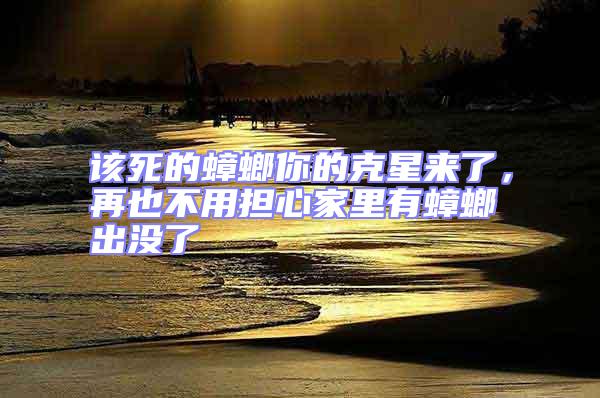 該死的蟑螂你的克星來了,再也不用擔心家里有蟑螂出沒了