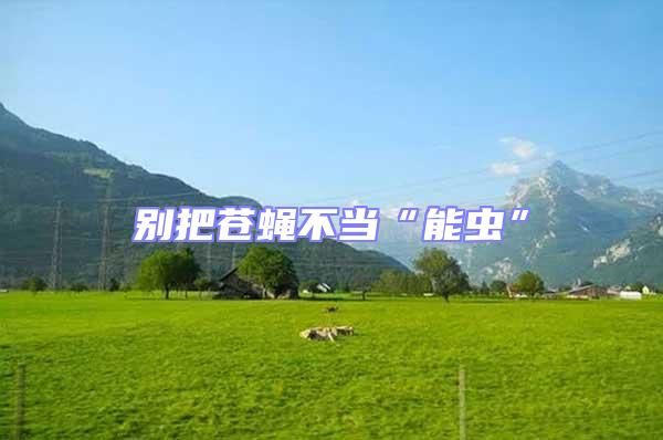 別把蒼蠅不當“能蟲”