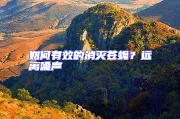 如何有效的消滅蒼蠅?遠(yuǎn)離噪聲