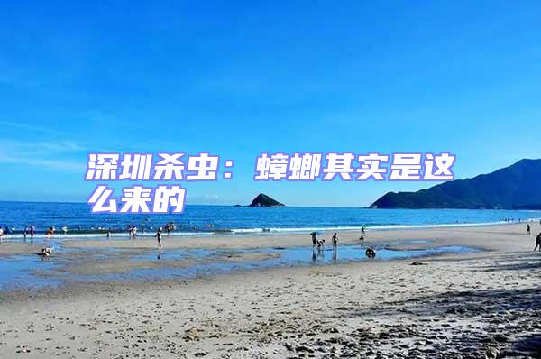 深圳殺蟲:蟑螂其實是這么來的