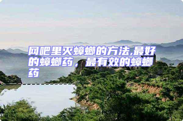 網(wǎng)吧里滅蟑螂的方法,最好的蟑螂藥,最有效的蟑螂藥