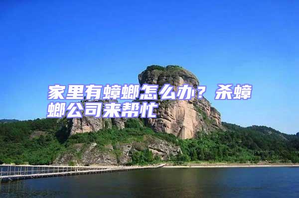 家里有蟑螂怎么辦?殺蟑螂公司來幫忙