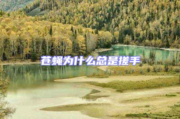 蒼蠅為什么總是搓手