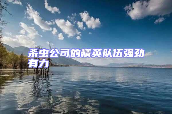 殺蟲公司的精英隊伍強勁有力
