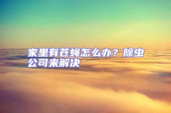 家里有蒼蠅怎么辦？除蟲公司來解決