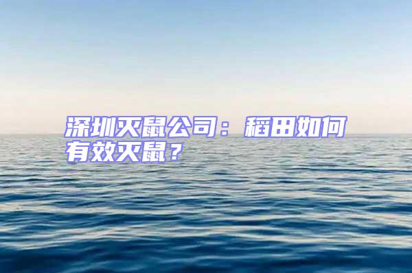 深圳滅鼠公司：稻田如何有效滅鼠？