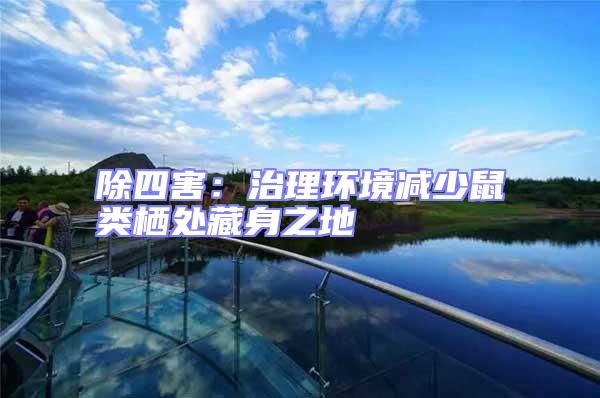 除四害:治理環(huán)境減少鼠類棲處藏身之地