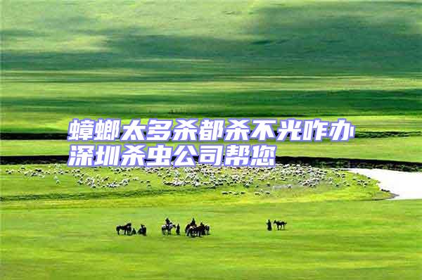 蟑螂太多殺都殺不光咋辦深圳殺蟲公司幫您