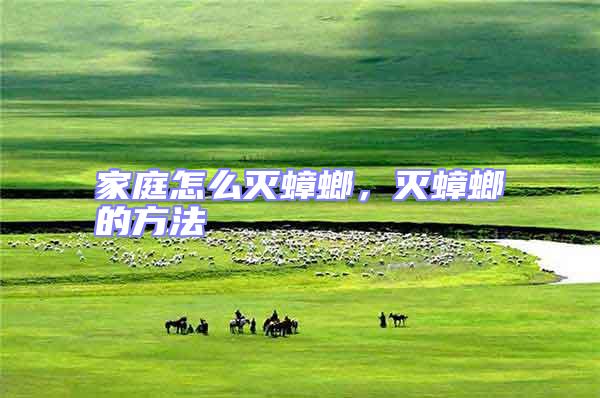 家庭怎么滅蟑螂,滅蟑螂的方法