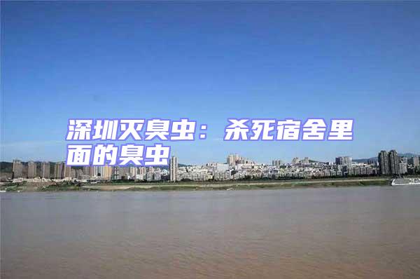 深圳滅臭蟲:殺死宿舍里面的臭蟲