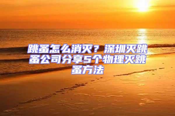 跳蚤怎么消滅？深圳滅跳蚤公司分享5個物理滅跳蚤方法