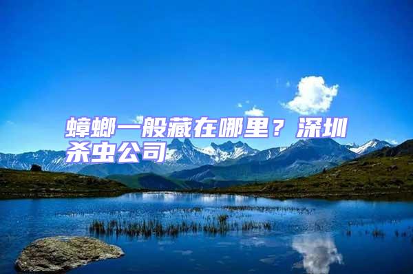 蟑螂一般藏在哪里?深圳殺蟲公司