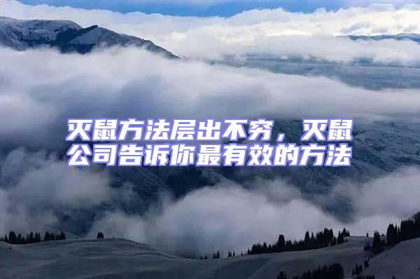 滅鼠方法層出不窮,滅鼠公司告訴你最有效的方法