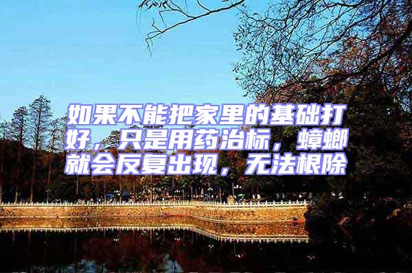 如果不能把家里的基礎打好，只是用藥治標，蟑螂就會反復出現，無法根除
