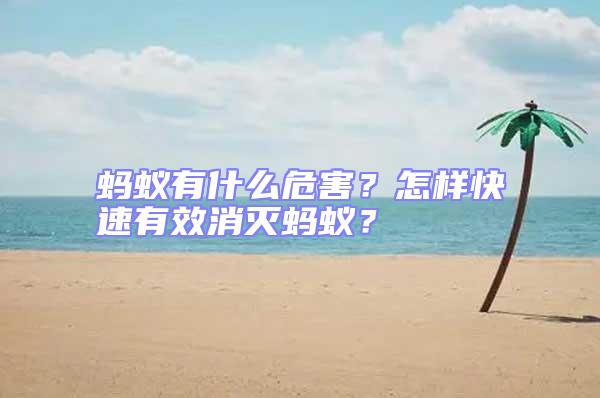 螞蟻有什么危害？怎樣快速有效消滅螞蟻？