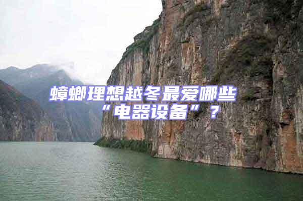 蟑螂理想越冬最愛哪些“電器設備”？