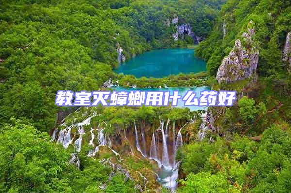 教室滅蟑螂用什么藥好