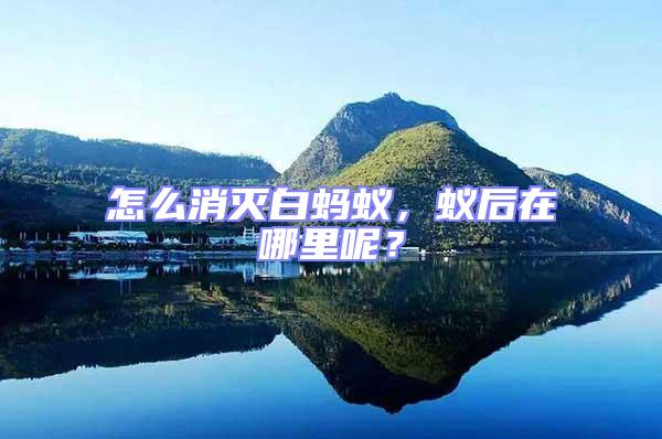 怎么消滅白螞蟻,蟻后在哪里呢?