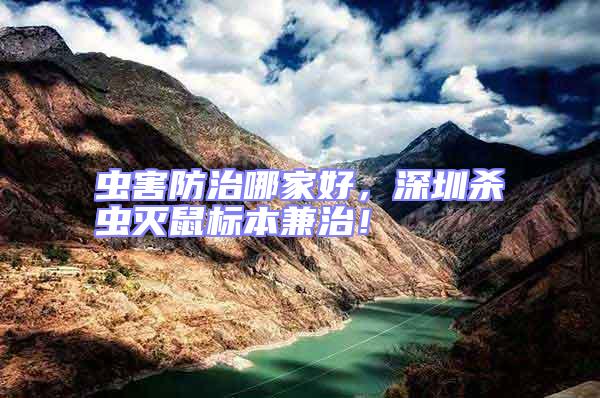 蟲(chóng)害防治哪家好,深圳殺蟲(chóng)滅鼠標(biāo)本兼治!