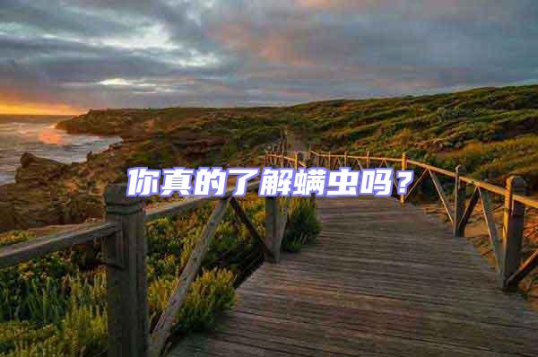 你真的了解螨蟲嗎?