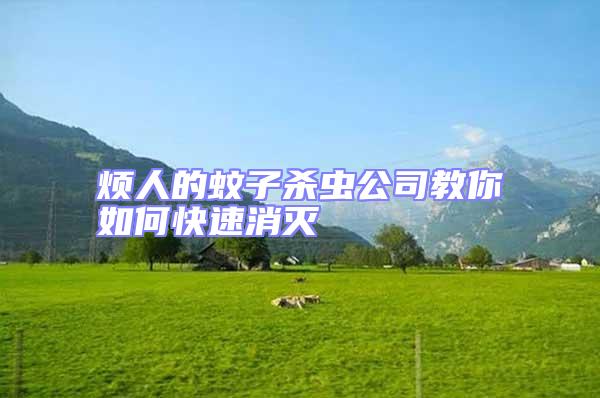 煩人的蚊子殺蟲公司教你如何快速消滅