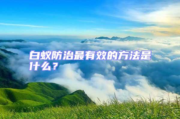 白蟻防治最有效的方法是什么?