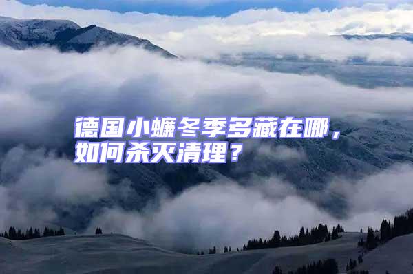 德國小蠊冬季多藏在哪，如何殺滅清理？