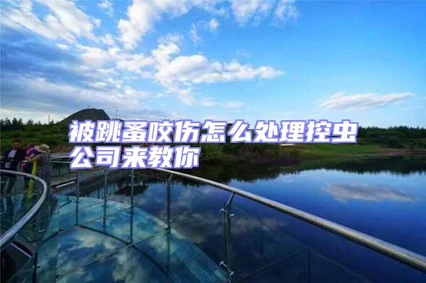 被跳蚤咬傷怎么處理控蟲公司來(lái)教你