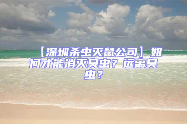【深圳殺蟲滅鼠公司】如何才能消滅臭蟲?遠離臭蟲?