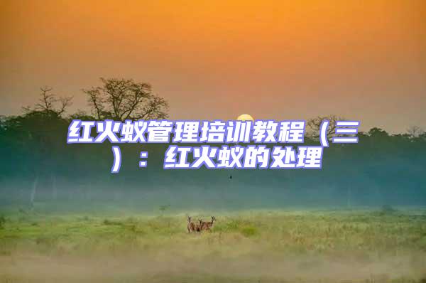 紅火蟻管理培訓教程(三):紅火蟻的處理