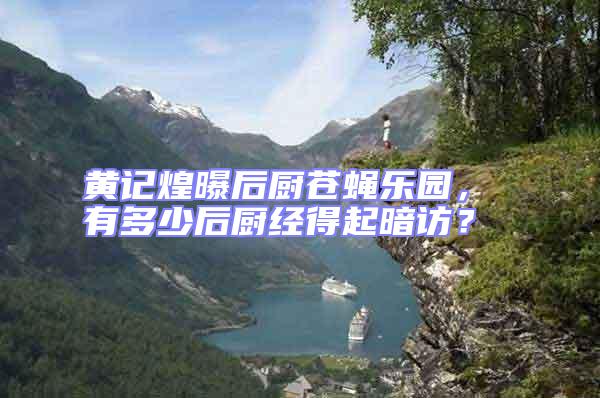 黃記煌曝后廚蒼蠅樂園, 有多少后廚經得起暗訪?