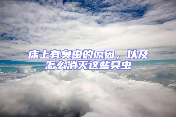 床上有臭蟲的原因,以及怎么消滅這些臭蟲