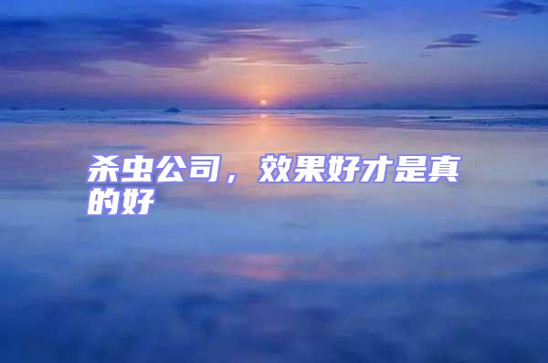 殺蟲公司,效果好才是真的好
