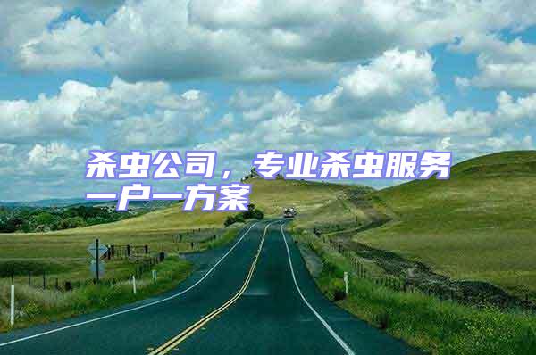 殺蟲公司,專業(yè)殺蟲服務一戶一方案