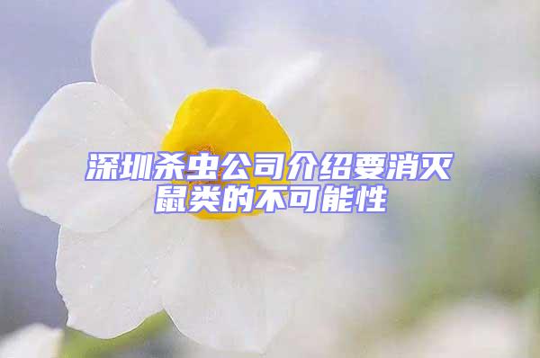 深圳殺蟲公司介紹要消滅鼠類的不可能性