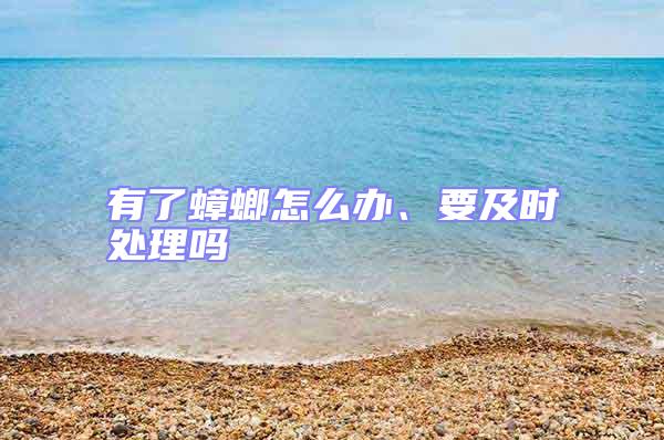 有了蟑螂怎么辦、要及時處理嗎