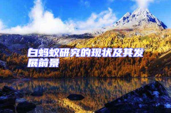 白螞蟻研究的現(xiàn)狀及其發(fā)展前景