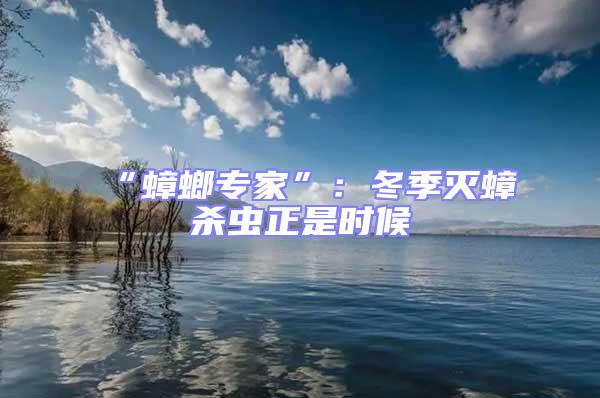 “蟑螂專家”:冬季滅蟑殺蟲正是時候