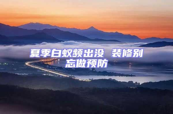 夏季白蟻頻出沒 裝修別忘做預防