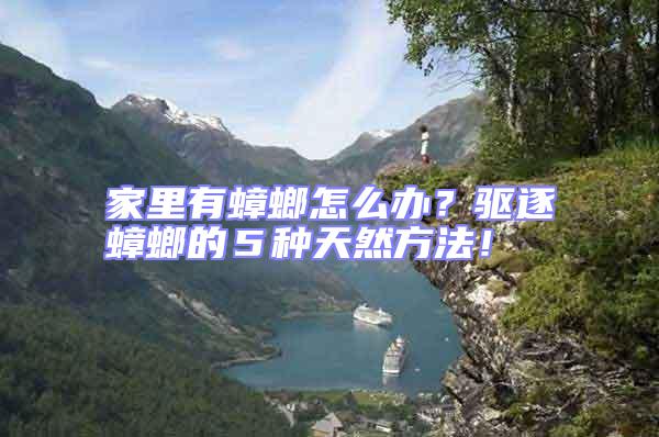 家里有蟑螂怎么辦？驅逐蟑螂的５種天然方法！