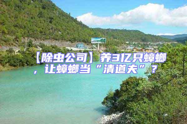 【除蟲公司】養3億只蟑螂，讓蟑螂當“清道夫”？