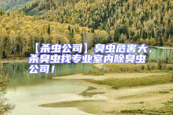 【殺蟲公司】臭蟲危害大,殺臭蟲找專業室內除臭蟲公司!