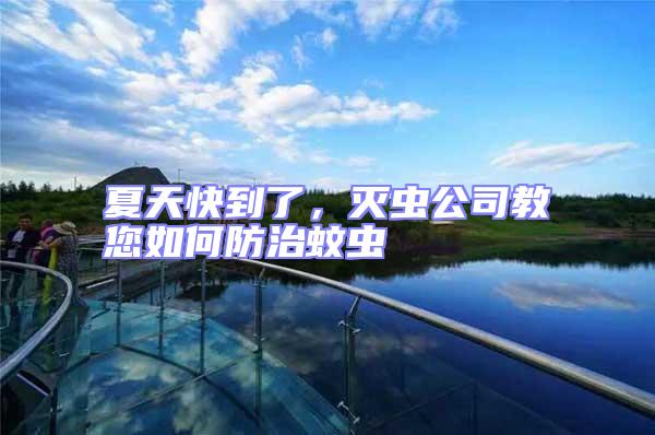 夏天快到了，滅蟲公司教您如何防治蚊蟲